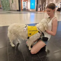 En ung kvinna kramar sin assistanshund, en vit golden retriever, som bär en gul väst med texten "ASSISTANSHUND". Hunden är en viktig följeslagare för en hund med diabetes.