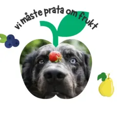 En hund med en jordgubbe på nosen, inramad av frukt. Texten "vi måste prata om frukt" svävar ovanför. En plommon hund som väntar på sin frukt.