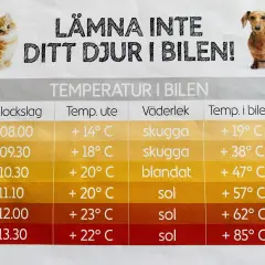 En skylt med en kattunge och en tax varnar för att lämna djur i bilen. En tabell visar hur temperaturen i bilen stiger snabbt, även vid normal temp hund.