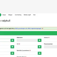 Registrera valpkull hos SKK. Fyll i uppgifter för uppfödare och valpar. Kostnad för registrering framgår senare.
