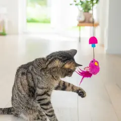 En randig katt leker ivrigt med en rosa fågelleksak som hänger från taket. Äntligen en aktivitet för att motverka att katten blir understimulerad.