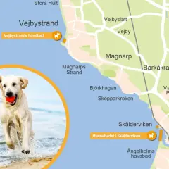 Glad hund på stranden vid Vejbystrand, med en röd boll i munnen. Kartan visar hundbadet.