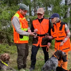 Tre jägare i orange västar med hundar i skogen. En hundförarväst bäst i test för säker jakt.