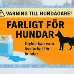 Varning till hundägare! Glykol är livsfarligt för hundar. Se till att ditt husdjur inte kommer i kontakt med det, då glykol motgift kan vara svårt att få tag på i tid.