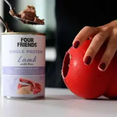 En burk med Four Friends Single Protein Lamm med ris, perfekt protein hundmat. En sked med mat lyfts ur burken, bredvid en röd leksak.