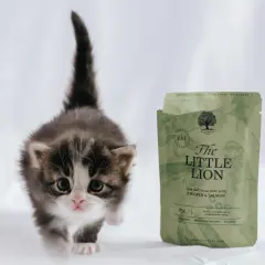 En söt kattunge tittar fram bredvid en påse kattmat "The Little Lion".