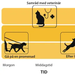 Diagram visar att lågt blodsocker hos hund kan visa symptom som trötthet vid promenad.