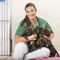 En glad veterinär håller fem valpar. Ett hund jobb som ger glädje!