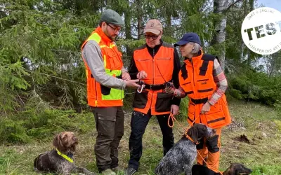 Tre jägare i orange västar med hundar i skogen. En hundförarväst bäst i test för säker jakt.