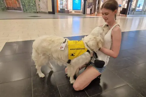 En ung kvinna kramar sin assistanshund, en vit golden retriever, som bär en gul väst med texten "ASSISTANSHUND". Hunden är en viktig följeslagare för en hund med diabetes.