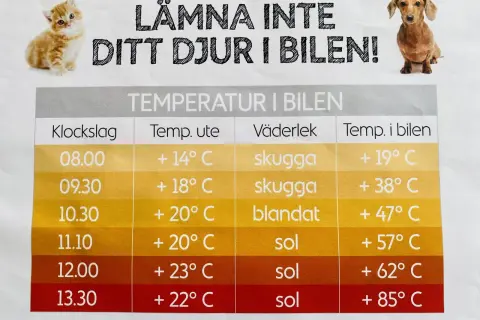 En skylt med en kattunge och en tax varnar för att lämna djur i bilen. En tabell visar hur temperaturen i bilen stiger snabbt, även vid normal temp hund.