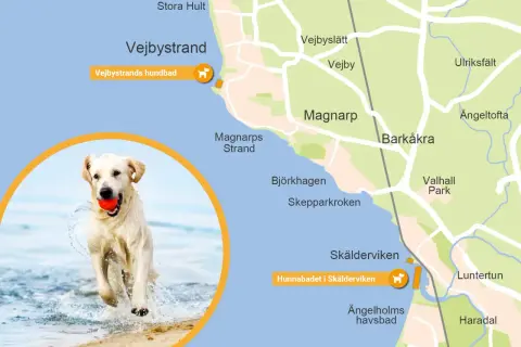Glad hund på stranden vid Vejbystrand, med en röd boll i munnen. Kartan visar hundbadet.
