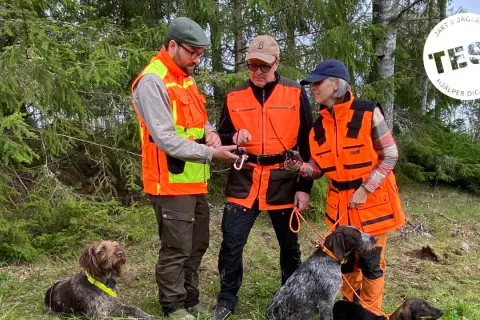 Tre jägare i orange västar med hundar i skogen. En hundförarväst bäst i test för säker jakt.