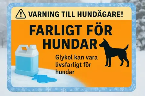 Varning till hundägare! Glykol är livsfarligt för hundar. Se till att ditt husdjur inte kommer i kontakt med det, då glykol motgift kan vara svårt att få tag på i tid.