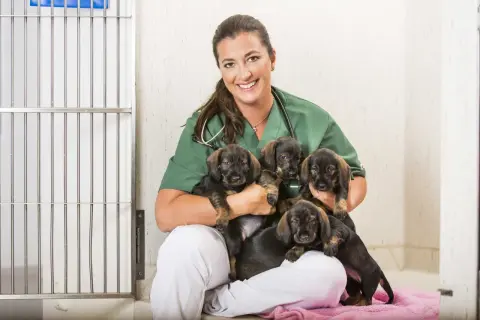 En glad veterinär håller fem valpar. Ett hund jobb som ger glädje!