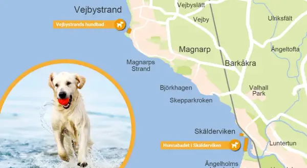 Glad hund på stranden vid Vejbystrand, med en röd boll i munnen. Kartan visar hundbadet.