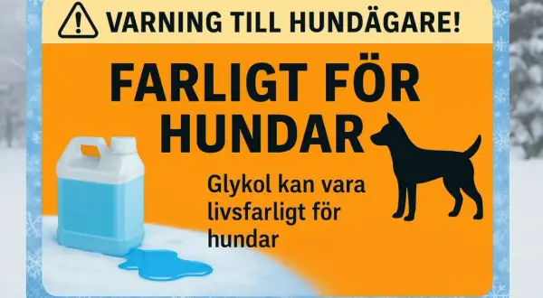 Varning till hundägare! Glykol är livsfarligt för hundar. Se till att ditt husdjur inte kommer i kontakt med det, då glykol motgift kan vara svårt att få tag på i tid.