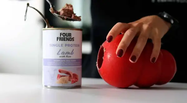 En burk med Four Friends Single Protein Lamm med ris, perfekt protein hundmat. En sked med mat lyfts ur burken, bredvid en röd leksak.