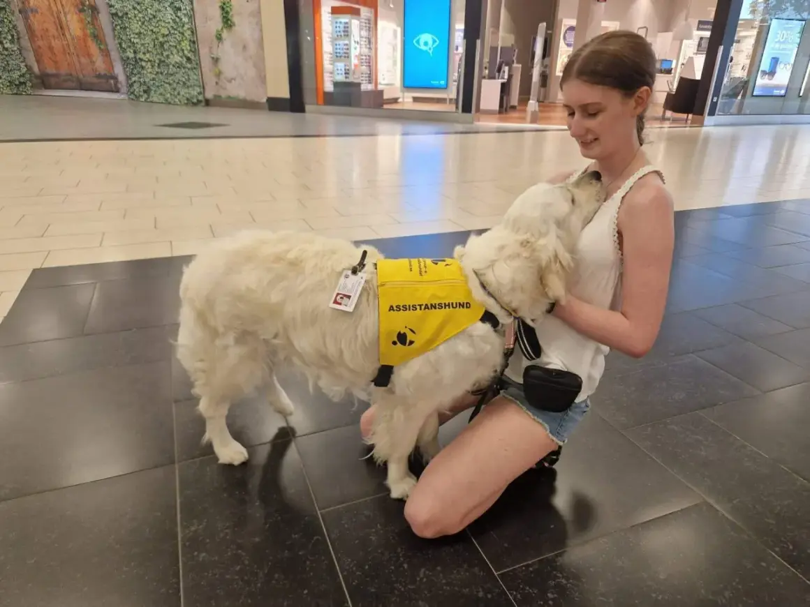 En ung kvinna kramar sin assistanshund, en vit golden retriever, som bär en gul väst med texten "ASSISTANSHUND". Hunden är en viktig följeslagare för en hund med diabetes.