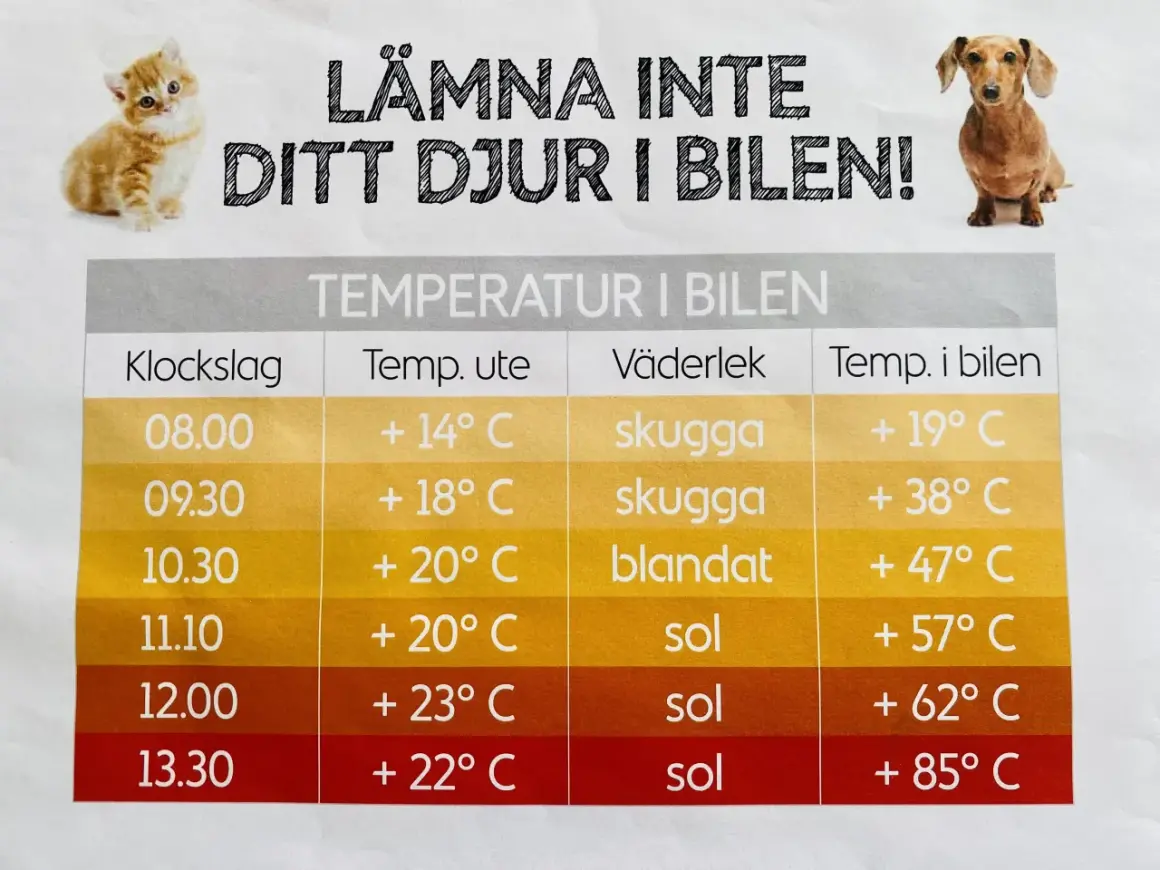 En skylt med en kattunge och en tax varnar för att lämna djur i bilen. En tabell visar hur temperaturen i bilen stiger snabbt, även vid normal temp hund.