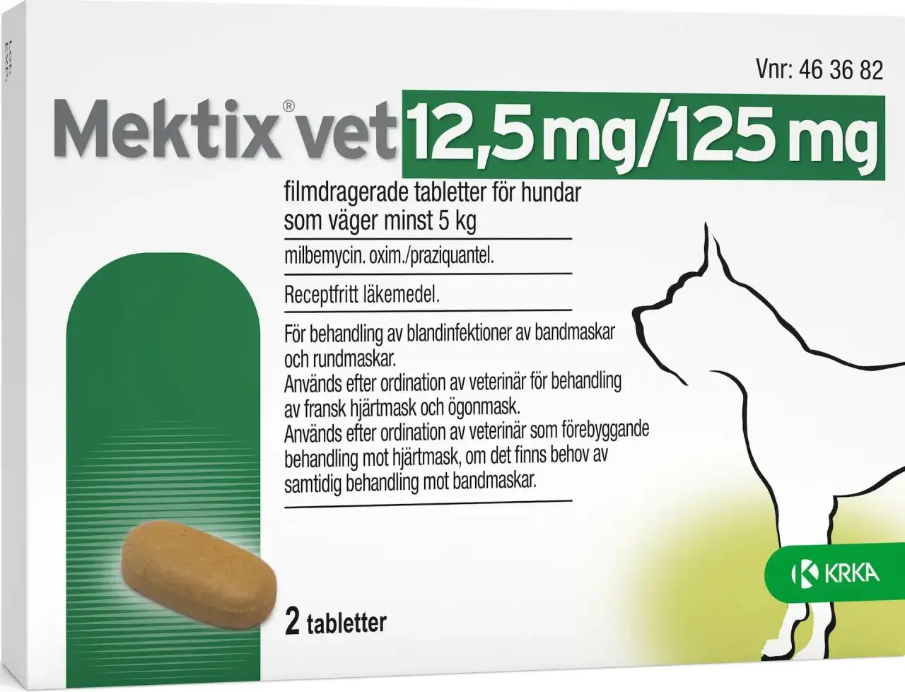 Avmaskning av hund - när behövs det egentligen?