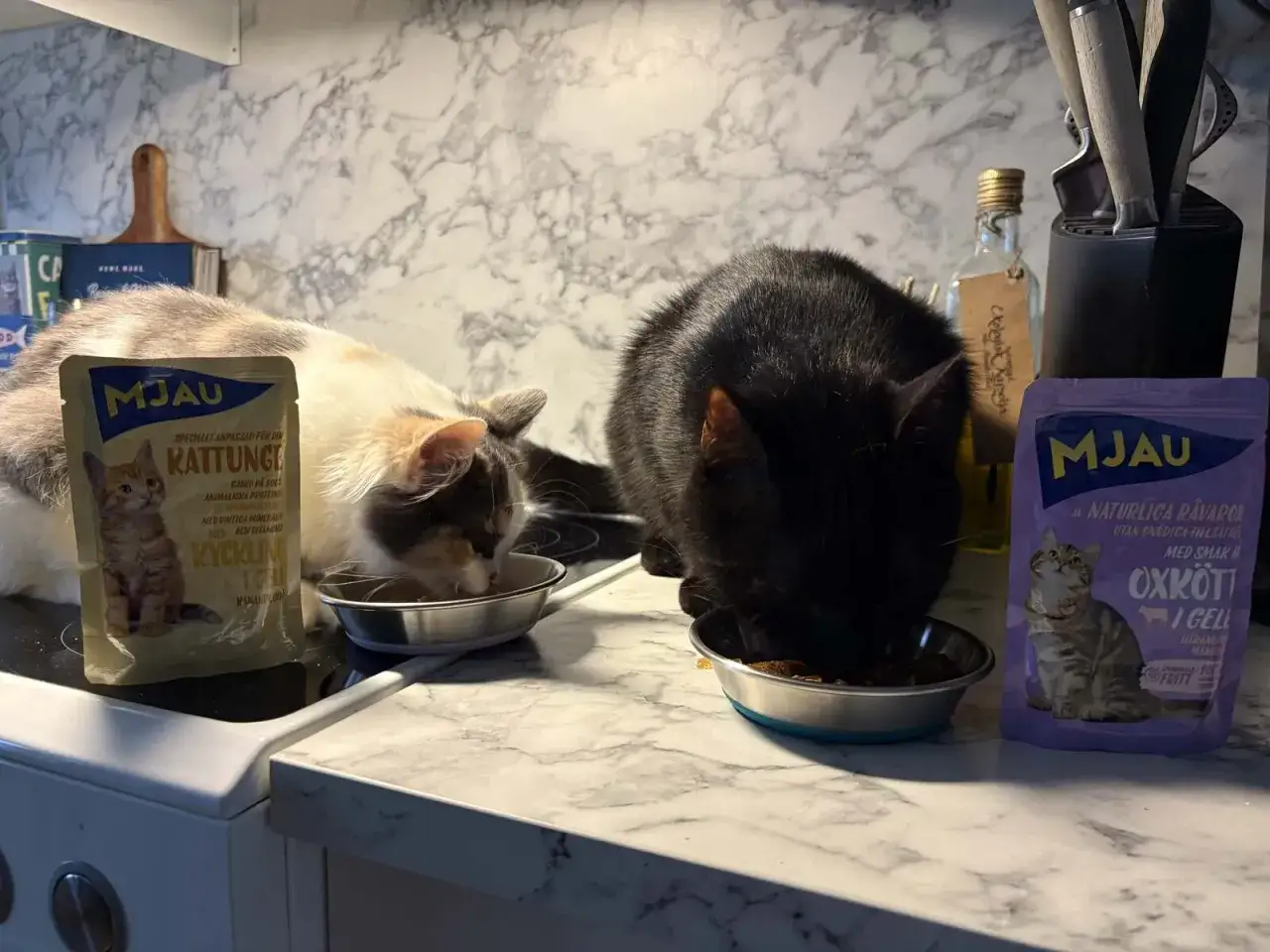 Två katter äter mat från skålar. En påse med