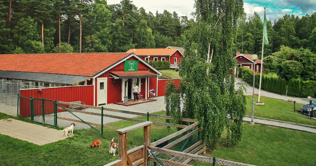 Hundpensionat med r&ouml;da byggnader och gr&ouml;na flaggor. Hundar leker p&aring; gr&auml;smattan. Undrar du vad kostar hundpensionat?