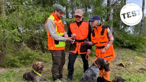 Hundförarväst bäst i test - Välj rätt för jakt & träning!