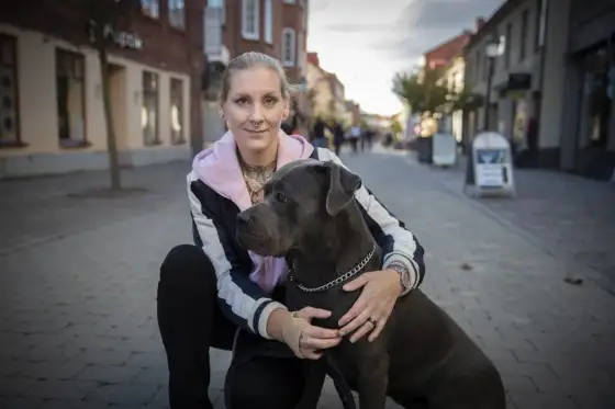 Hedra din hunds minne - en guide för sorg och minnessaker