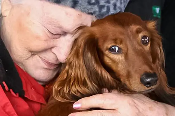 En äldre kvinna kramar en långhårig tax. Hunden ser lite orolig ut, som om den nyligen hittat bortsprungen hund.