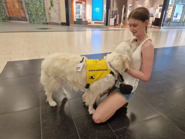 En ung kvinna kramar sin assistanshund, en vit golden retriever, som bär en gul väst med texten "ASSISTANSHUND". Hunden är en viktig följeslagare för en hund med diabetes.