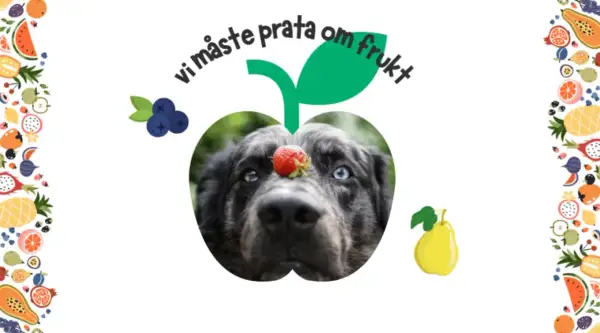 En hund med en jordgubbe på nosen, inramad av frukt. Texten "vi måste prata om frukt" svävar ovanför. En plommon hund som väntar på sin frukt.